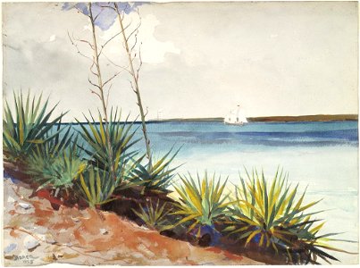 Winslow Homer - Spanish Bayonets (1885)