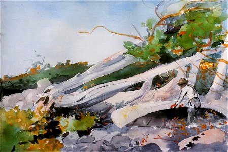 Winslow Homer - Guide Hiding a Canoe under a Windfalll (1897)