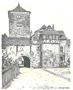 Hohenstaufen (Waldeyer-Hartz) b 339