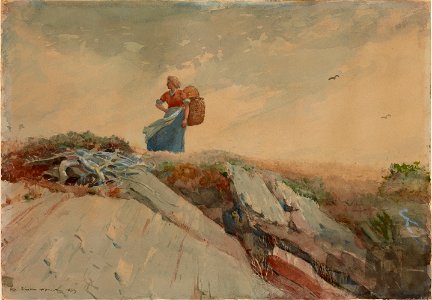 Winslow Homer - Down the Cliff (1883)