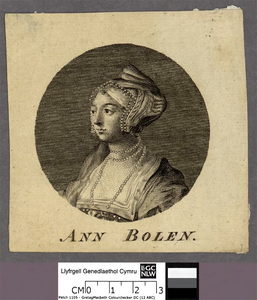 Portrait of Ann Bolen (4674041)