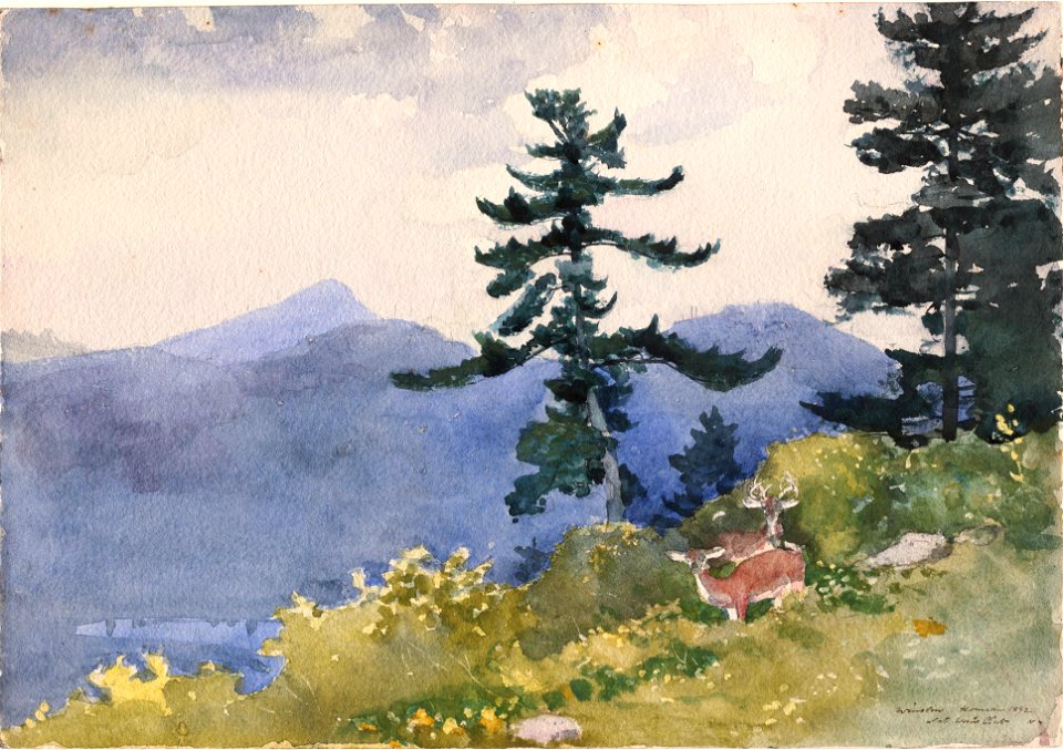 Winslow Homer - North Woods Club, Adirondacks (The Interrupted Tete-a-Tete)