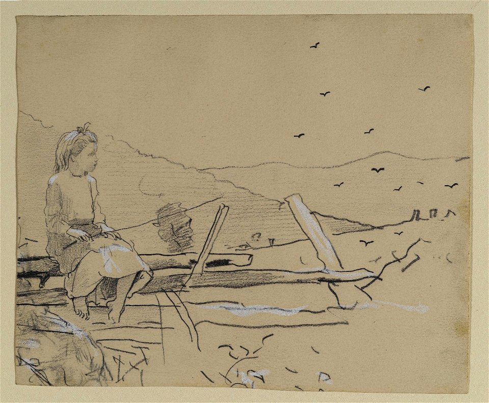 Brooklyn Museum - Girl Seated on Rail Fence - Winslow Homer