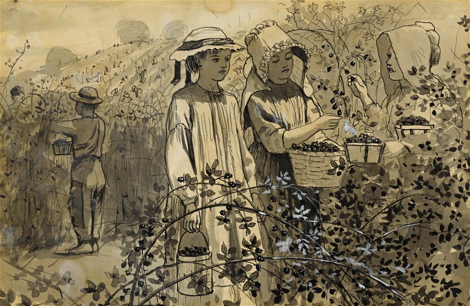 Winslow Homer - Gathering Wild Blackberries (c. 1880)