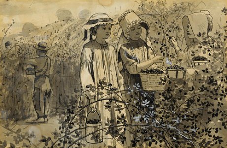Winslow Homer - Gathering Wild Blackberries (c. 1880)