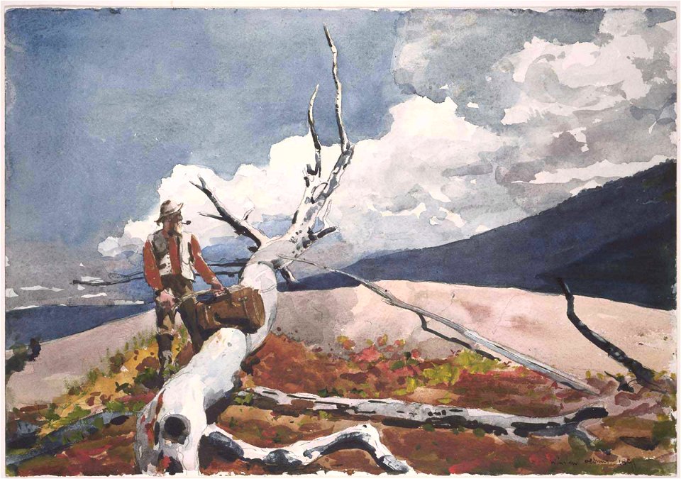 Winslow Homer - Woodsman and Fallen Tree (1891)