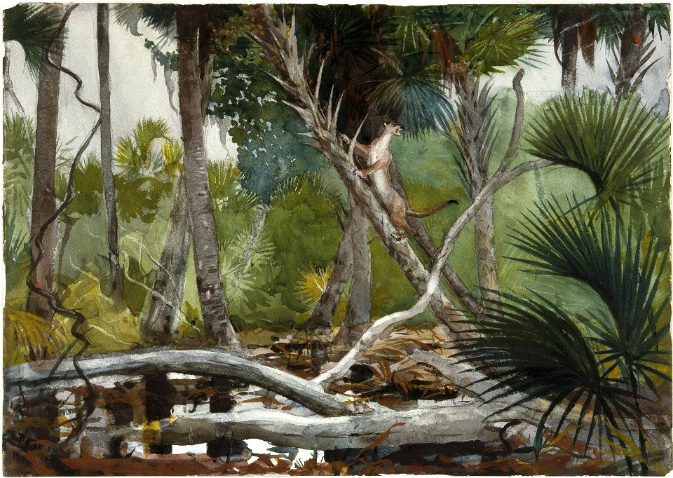 Brooklyn Museum - In the Jungle, Florida - Winslow Homer - overall