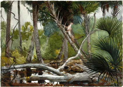 Brooklyn Museum - In the Jungle, Florida - Winslow Homer - overall