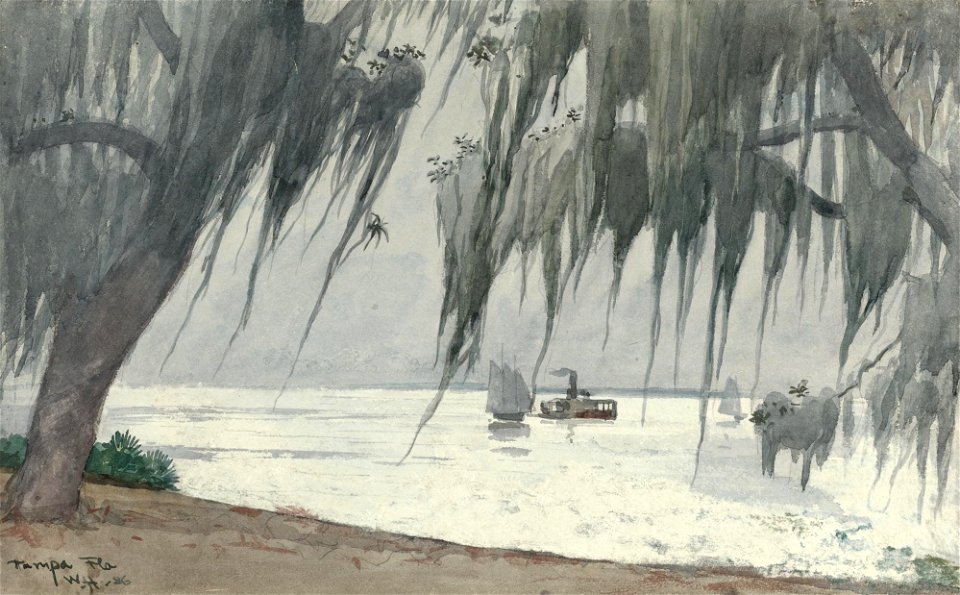 Winslow Homer - Spanish moss at Tampa (1886)