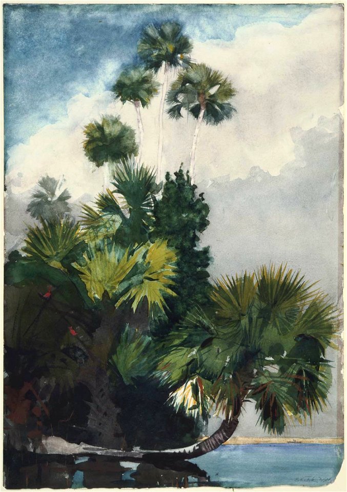 Winslow Homer - Palm Trees, Florida (1904)