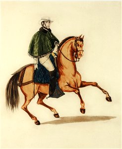 Hombre a caballo