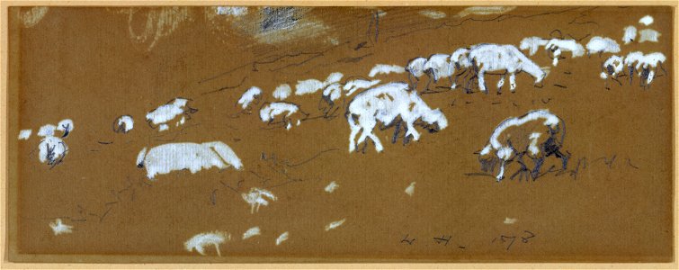 Sheep MET DT5027