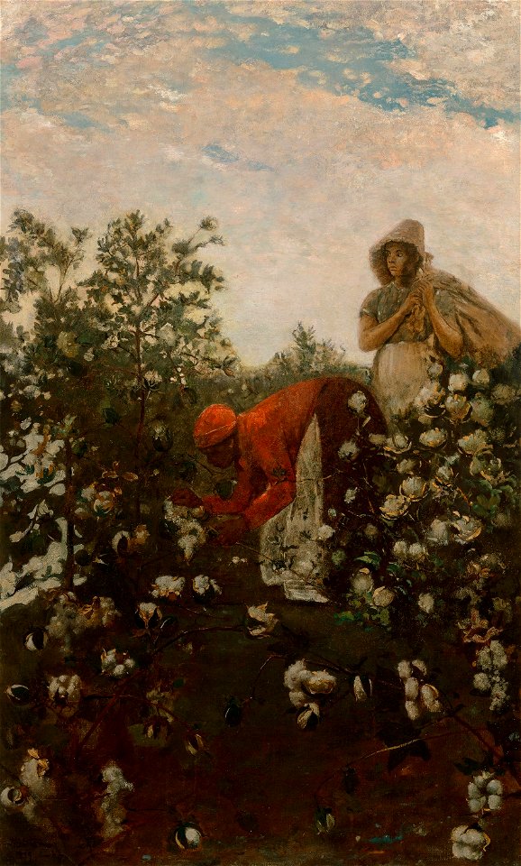 Upland Cotton by Winslow Homer