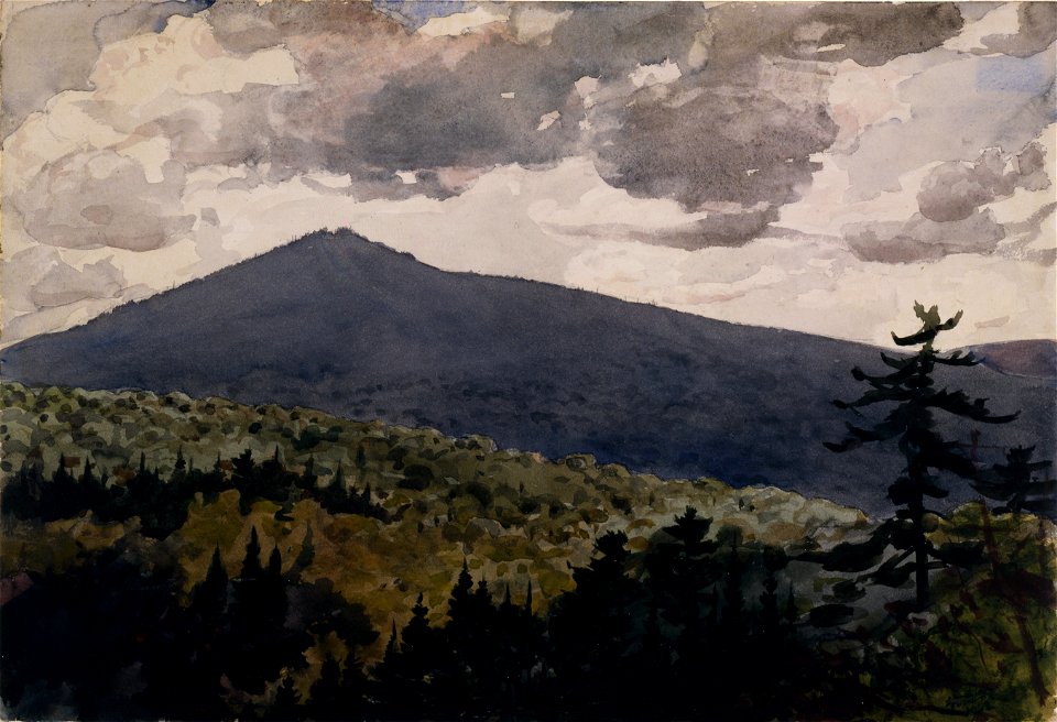 Winslow Homer - Burnt Mountain