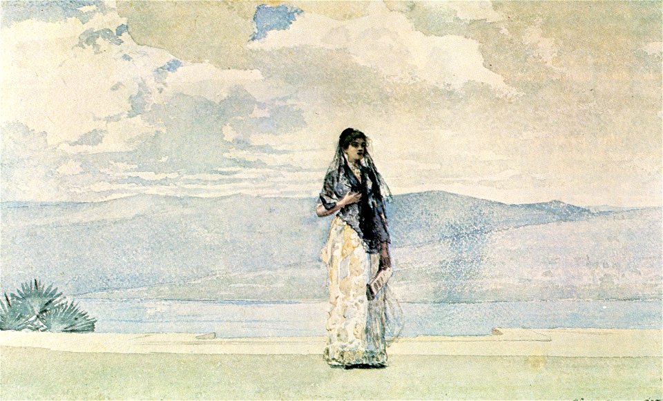 Governor's Wife by Winslow Homer 1885
