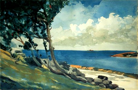 Winslow Homer - North Road, Bermuda