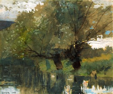 Winslow Homer - Pond and Willows, Houghton Farm (1878)