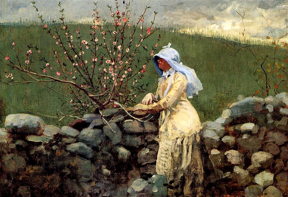 Winslow Homer - Peach Blossoms, 1879