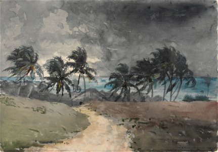 Storm Bahamas by Winslow Homer 1885