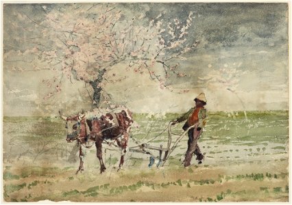 Winslow Homer - Blossom Time in Virginia