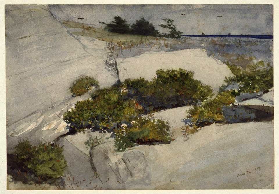 Brooklyn Museum - Maine Cliffs - Winslow Homer - overall