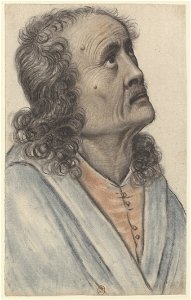 Homme âgé aux cheveux longs et bouclés, levant la tête, vu presque de profil à droite (Nicolas Lagneau)