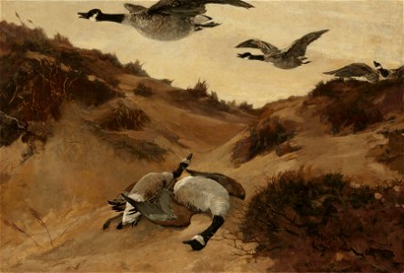 Winslow Homer - Wild Geese in Flight (1897)