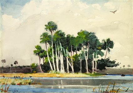 Winslow Homer - The Turkey Buzzard