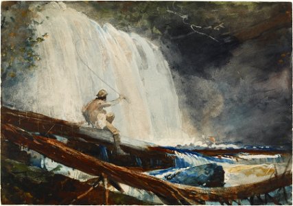 Winslow Homer - Waterfall in the Adirondacks (1889)