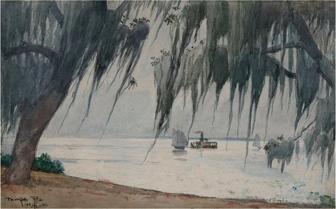 Winslow Homer - Spanish Moss, Tampa bay, Florida (1886)