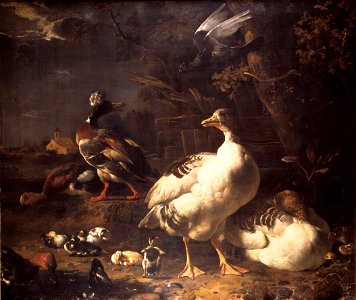 Geese and Ducks by Melchior d'Hondecoeter Mauritshuis 61. Free illustration for personal and commercial use.