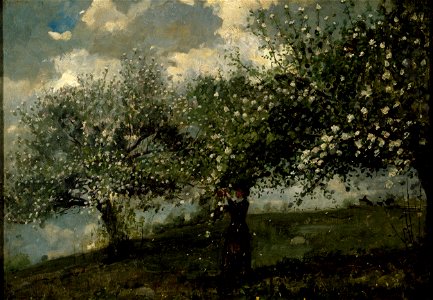 Girl Picking Apple Blossoms by Winslow Homer