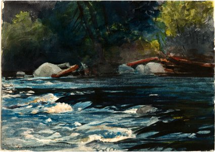 Winslow Homer - The Rapids, Hudson River, Adirondacks