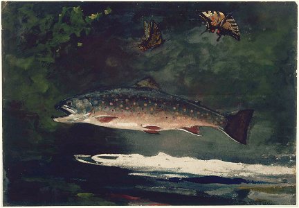 Winslow Homer - Trout Breaking (1889)