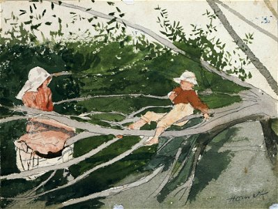 Winslow Homer - Out on a Limb