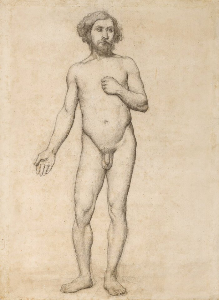 HOMME DEBOUT m