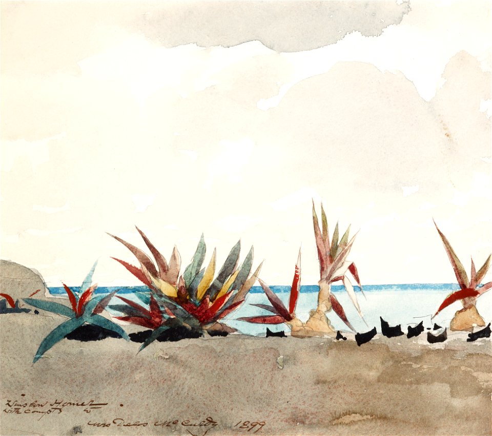Winslow Homer - Nassau Beach with Century Plants (1899)