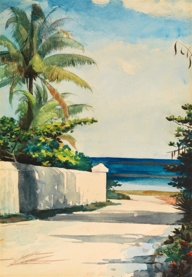 Winslow Homer - Road in Nassau