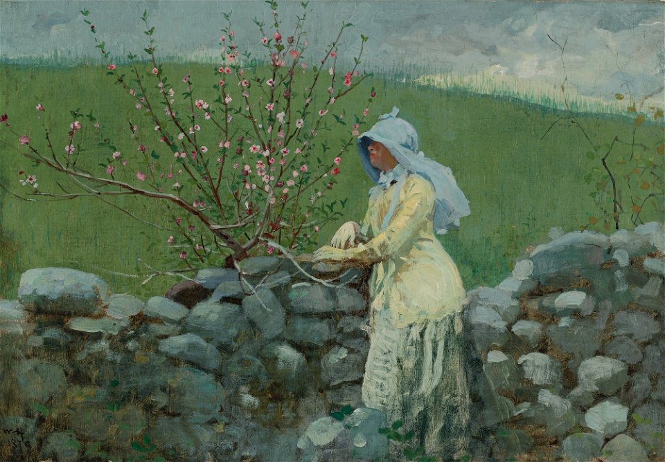 Winslow Homer’s Peach Blossoms