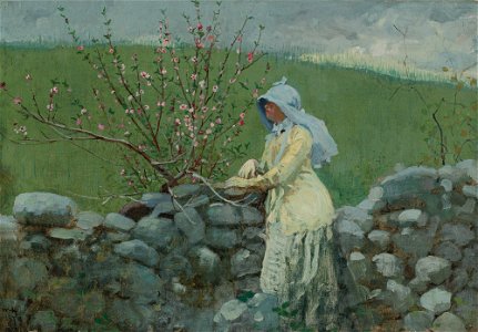 Winslow Homer’s Peach Blossoms