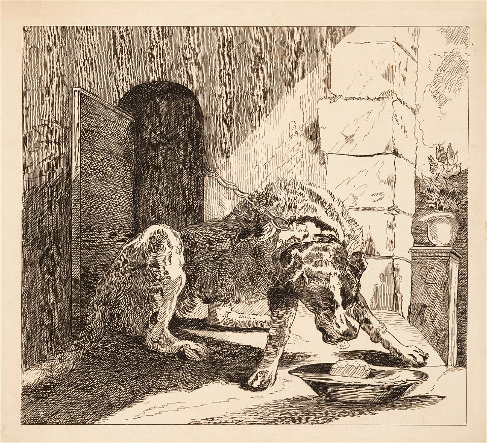 Hond die probeert te eten, objectnr A 14232