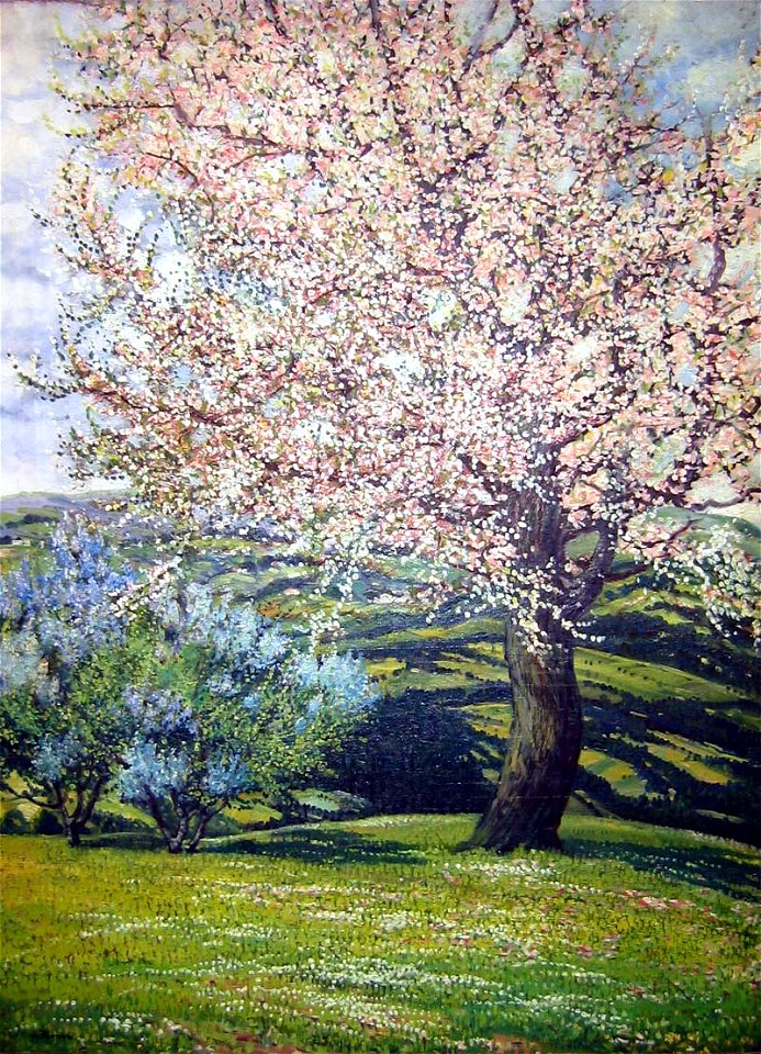 Honsa, Jan - Rozkvetla jablon