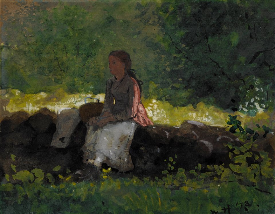 Winslow Homer - On the fence (1878)