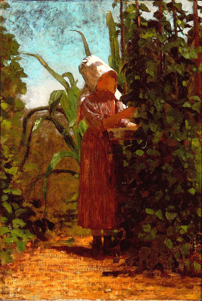 The Bean Picker by Winslow Homer