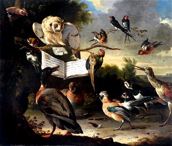 Hondecoeter, Melchior d' - Das Vogelkonzert - 1670. Free illustration for personal and commercial use.
