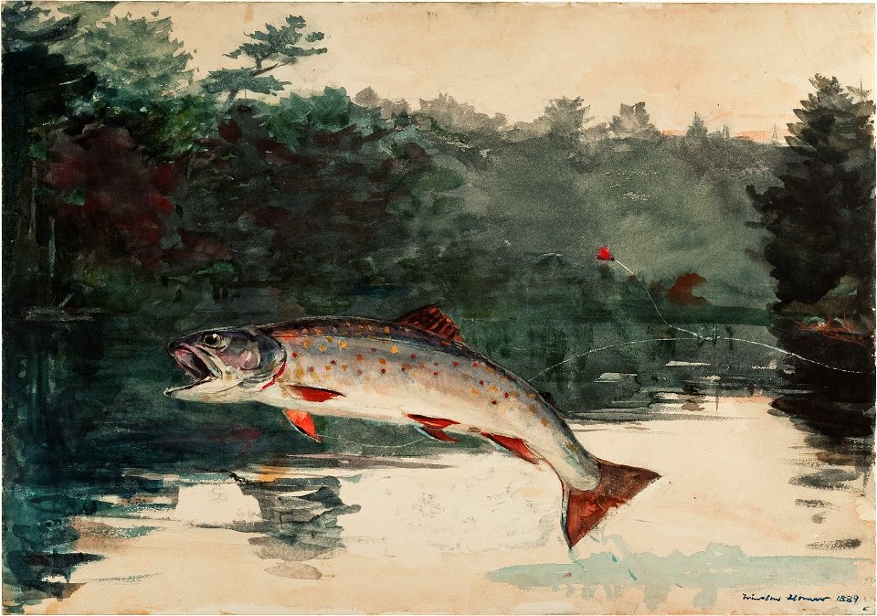 Winslow Homer - Leaping Trout