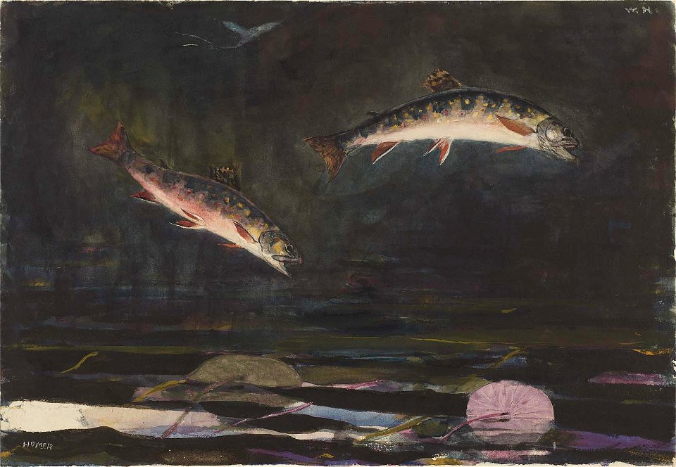 Winslow Homer - Leaping Trout (1892)