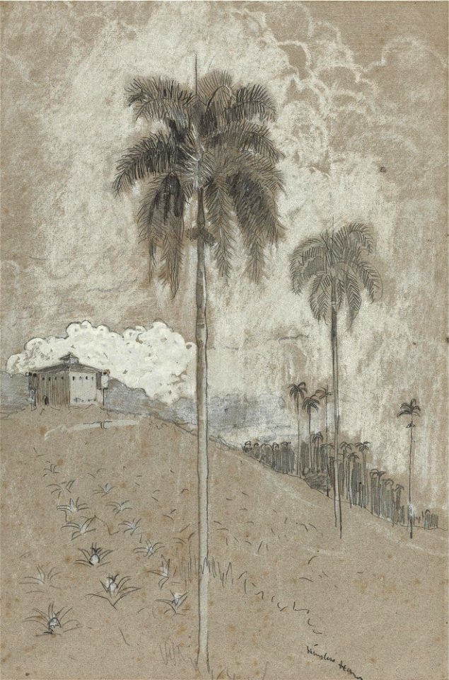 Winslow Homer - Tropical landscape (c.1885)