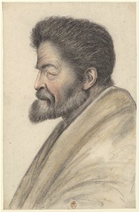 Homme à la barbe courte et aux cheveux courts et raides, vu de profil à gauche (Nicolas Lagneau)