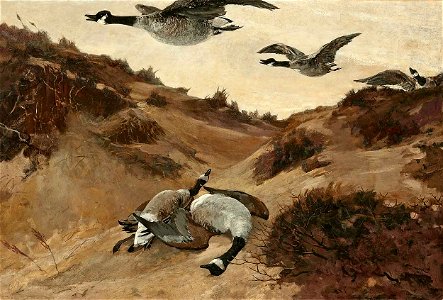 Winslow Homer - Wild Geese in Flight